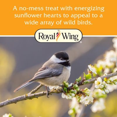 Image showing  Sunflower Hearts Wild Bird Seed Cake