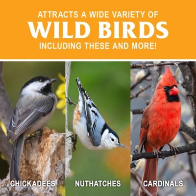 Image showing  Sunflower Hearts Wild Bird Seed Cake