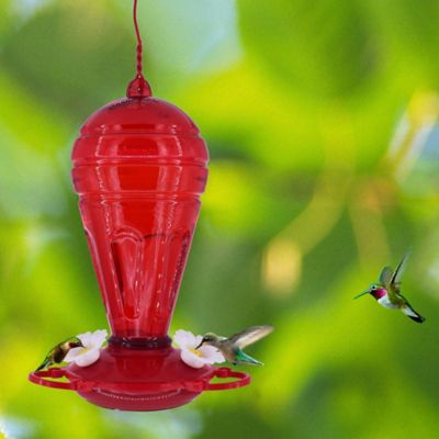 Image showing  32 oz. Red Balloon Hummingbird Feeder
