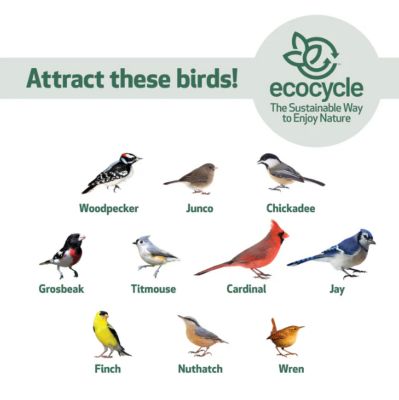 Image showing  Tasty Tidbit Recycled Plastic Bird Feeder, 0.875 qt.