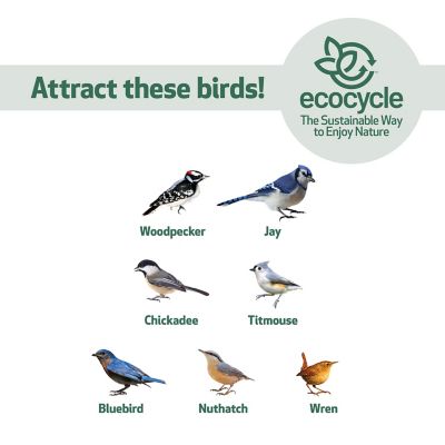 Image showing  Suet Snacker Recycled Plastic Bird Feeder, 2 Cake Capacity