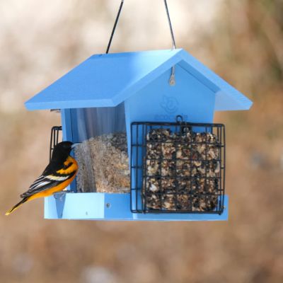 Image showing  Hopper Hangout Recycled Plastic Hopper Bird Feeder with Suet, 3 qt., 2 Suet Cake