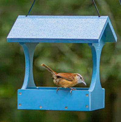 Image showing  Dine-n-Dash Recycled Plastic Bird Feeder, 0.85 qt.