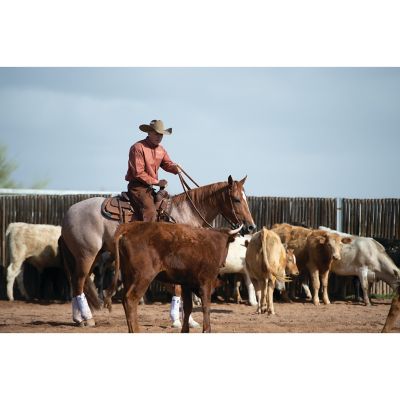 Image showing  32 x 34 in. Flex Felt Saddle Pad