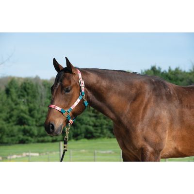 Image showing  Adjustable Patterned Nylon Horse Halter