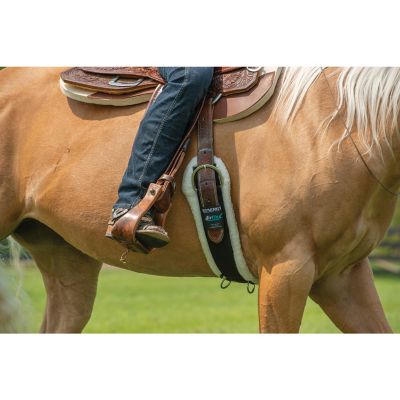 Image showing  AirFlex Straight Cinch with Merino Wool Fleece Liner