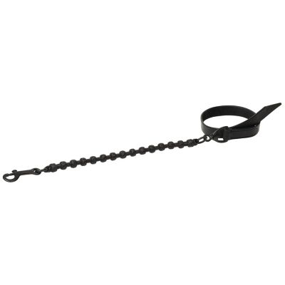 Image showing  Braided Rawhide Lead, Black