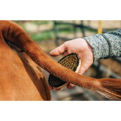 Image showing  Copper Bristle Brush