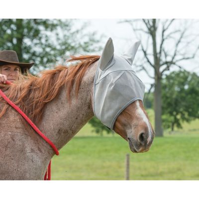 Image showing 1 th Weaver Equine Covered Ear Fly Mask with Xtended Life Closure System