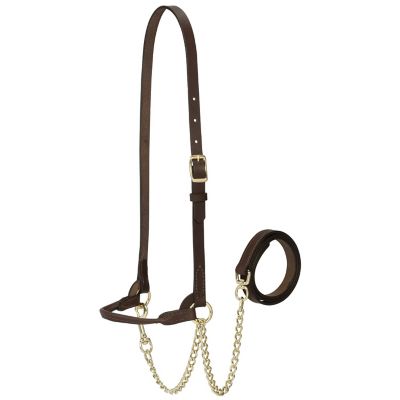 Weaver Livestock Dairy Halter