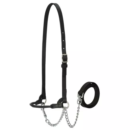 Weaver Dairy Halter Livestock Ropes Halters & Hobbles