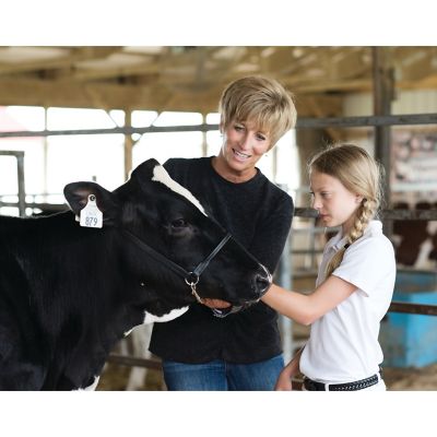 Image showing  Dairy Halter