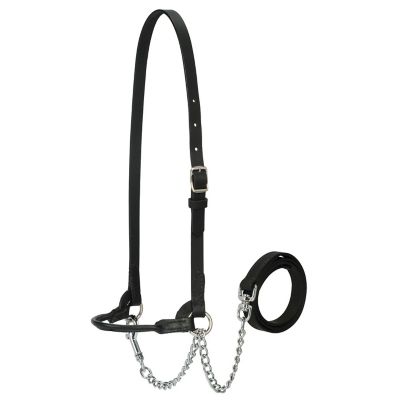 Weaver Livestock Dairy Halter