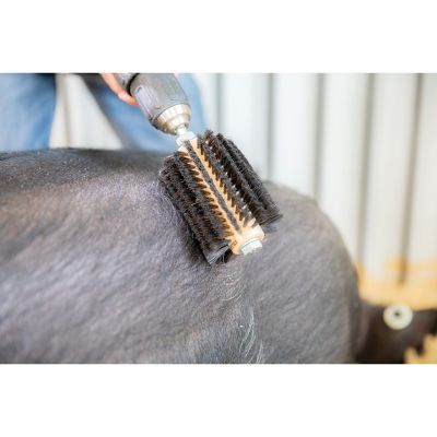 Image showing  Mini Horse Hair Roto Brush
