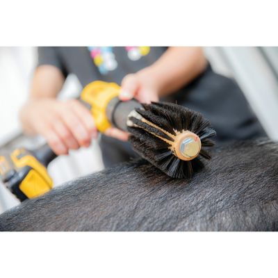 Image showing  Mini Horse Hair Roto Brush