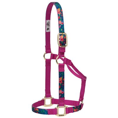 Weaver Equine Non-Adjustable Patterned Nylon Horse Halter