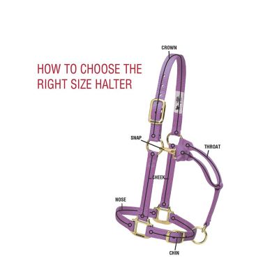 Image showing  Non-Adjustable Patterned Nylon Horse Halter