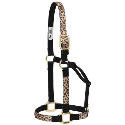 Weaver Equine Non-Adjustable Patterned Nylon Horse Halter