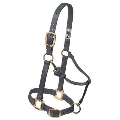 Weaver Equine Original Adjustable Chin and Throat Snap Halter, 1 in.