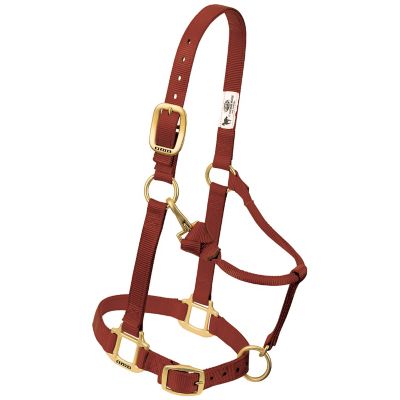 Weaver Equine Original Adjustable Chin and Throat Snap Halter, 1 in.