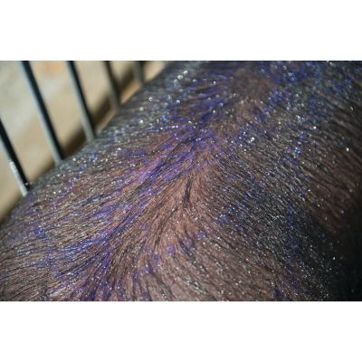 Image showing  Purifying Shampoo