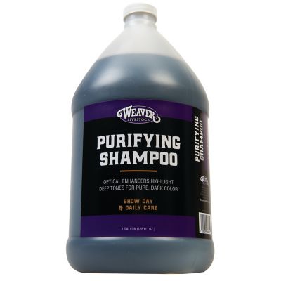 Weaver Livestock Purifying Shampoo