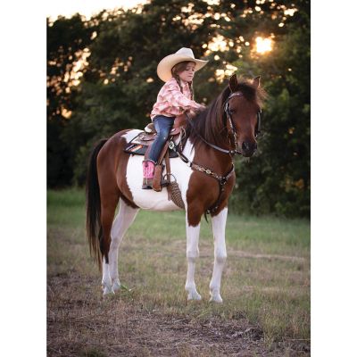 Image showing  Single Weave Wool Blend Felt Contoured Saddle Pad