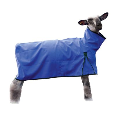Product color Blue