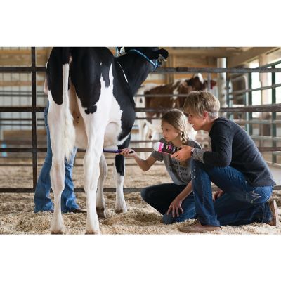 Image showing  Topline Brush, Purple