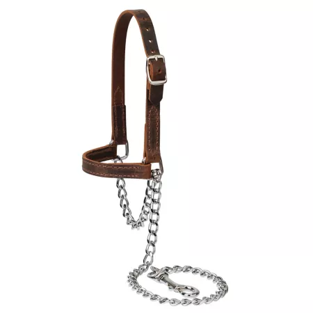 Weaver Livestock 80100-60-64 Water Buffalo Leather Goat Halter Large Assorted Colors Livestock Ropes Halters & Hobbles