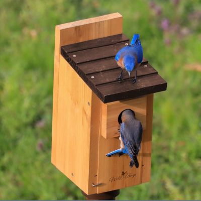 Image showing  Cedar Bluebird Box House, Brown