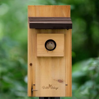 Image showing  Cedar Bluebird Box House, Brown