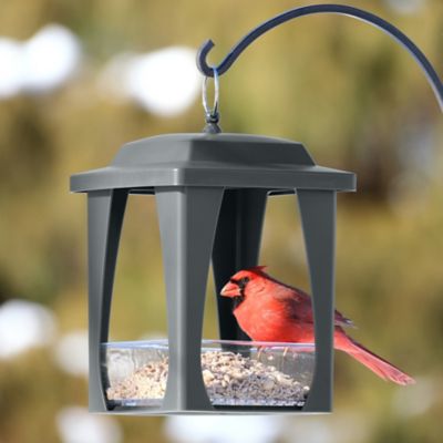 Image showing  Dine in Hanging Plastic Fly Through Bird Feeder with Roof, 4 Cup, Gray