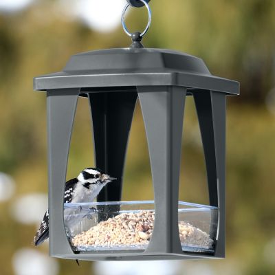 Image showing  Dine in Hanging Plastic Fly Through Bird Feeder with Roof, 4 Cup, Gray