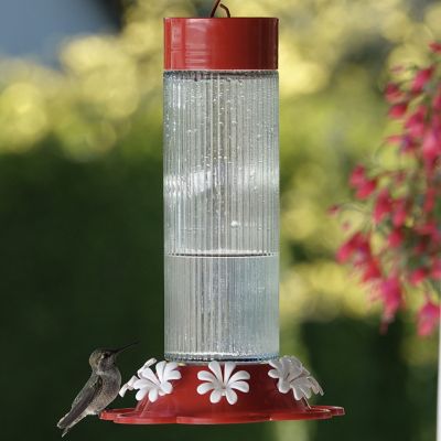 Image showing  Ribbed Rose Glass Gravity Hummingbird Feeder 28 oz, Red