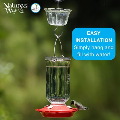 Image showing  Hummingbird Feeder Ant Moat