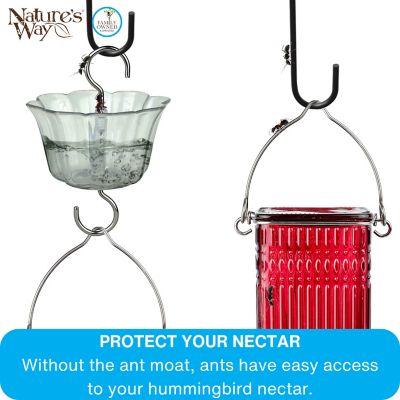 Image showing  Hummingbird Feeder Ant Moat