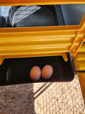 Image showing  Roll Back 2 Hole Nesting Box