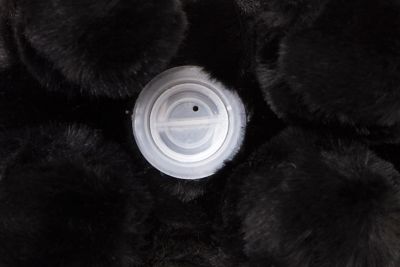 Image showing  Plush Bear Coin Bank