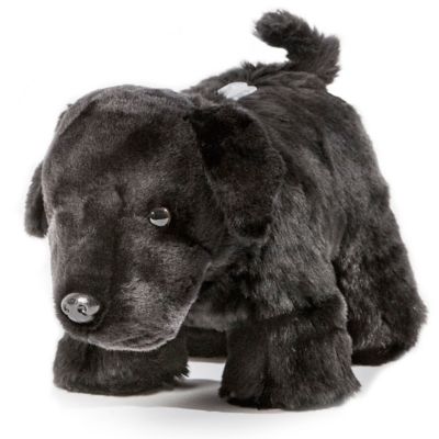 CARSTENS Plush Black Lab Dog Coin Bank