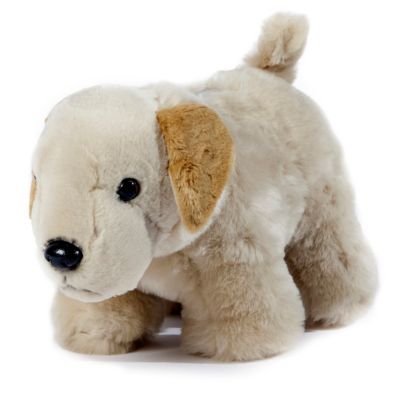 CARSTENS Plush Yellow Lab Dog Coin Bank