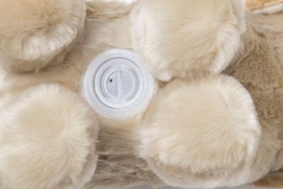 Image showing  Plush Yellow Lab Dog Coin Bank