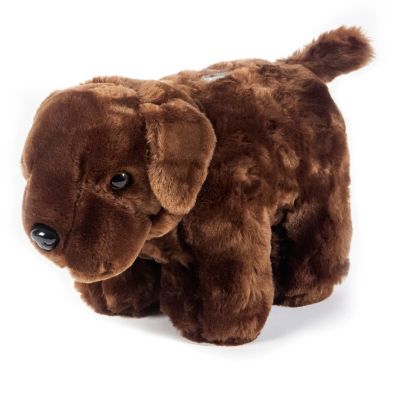 CARSTENS Plush Chocolate Lab Dog Coin Bank