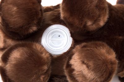 Image showing  Plush Chocolate Lab Dog Coin Bank