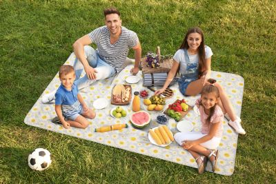 Image showing  Polyester Picnic Blanket, 80 in. x 60 in.
