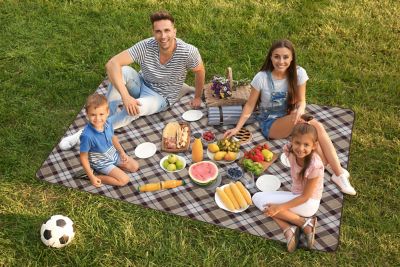 Image showing  Polyester Picnic Blanket, 80 in. x 60 in.