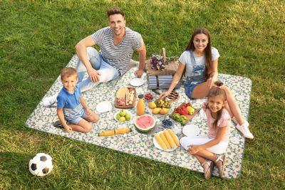 Image showing 1 th CARSTENS Polyester Picnic Blanket, 80 in. x 60 in.
