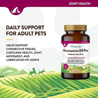 Image showing  Glucosamine DS Plus Level 2 Joint Support Chewable Tablets for Dogs