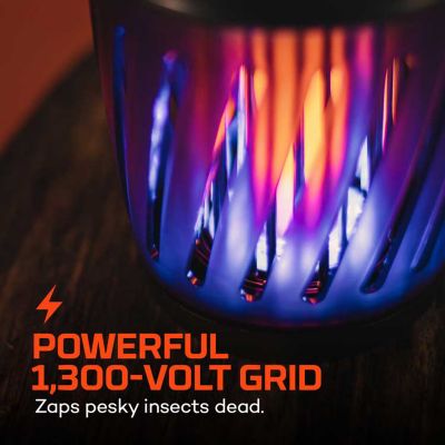 Image showing  Solar Zapper and Lantern