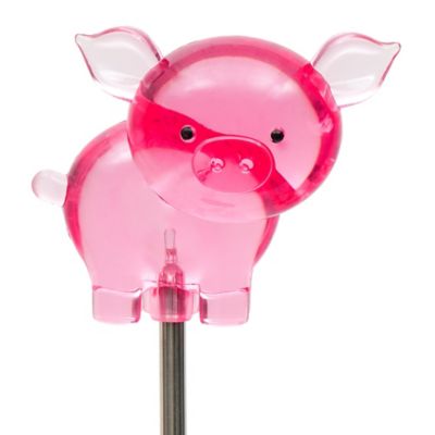 Image showing  Solar Pig